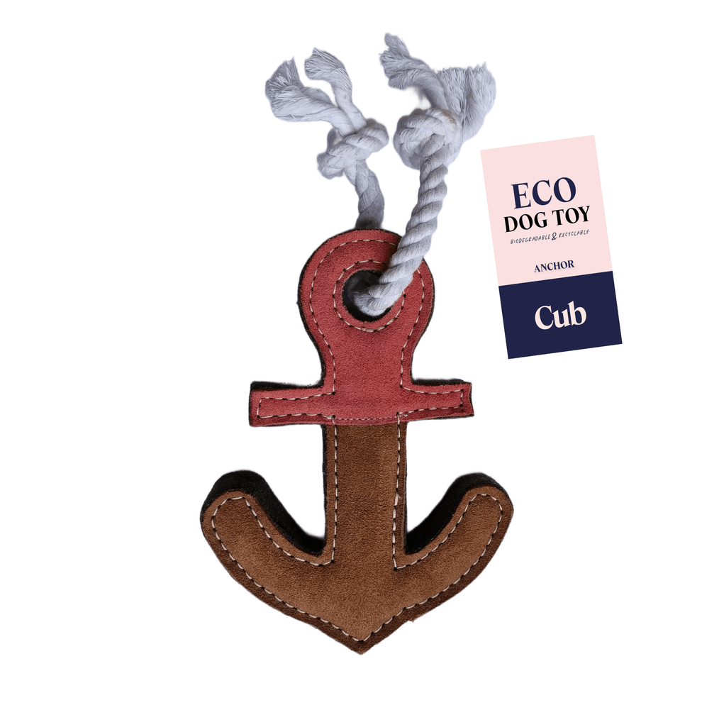 Anchor Eco Dog Toy - The Mewstone Candle Co