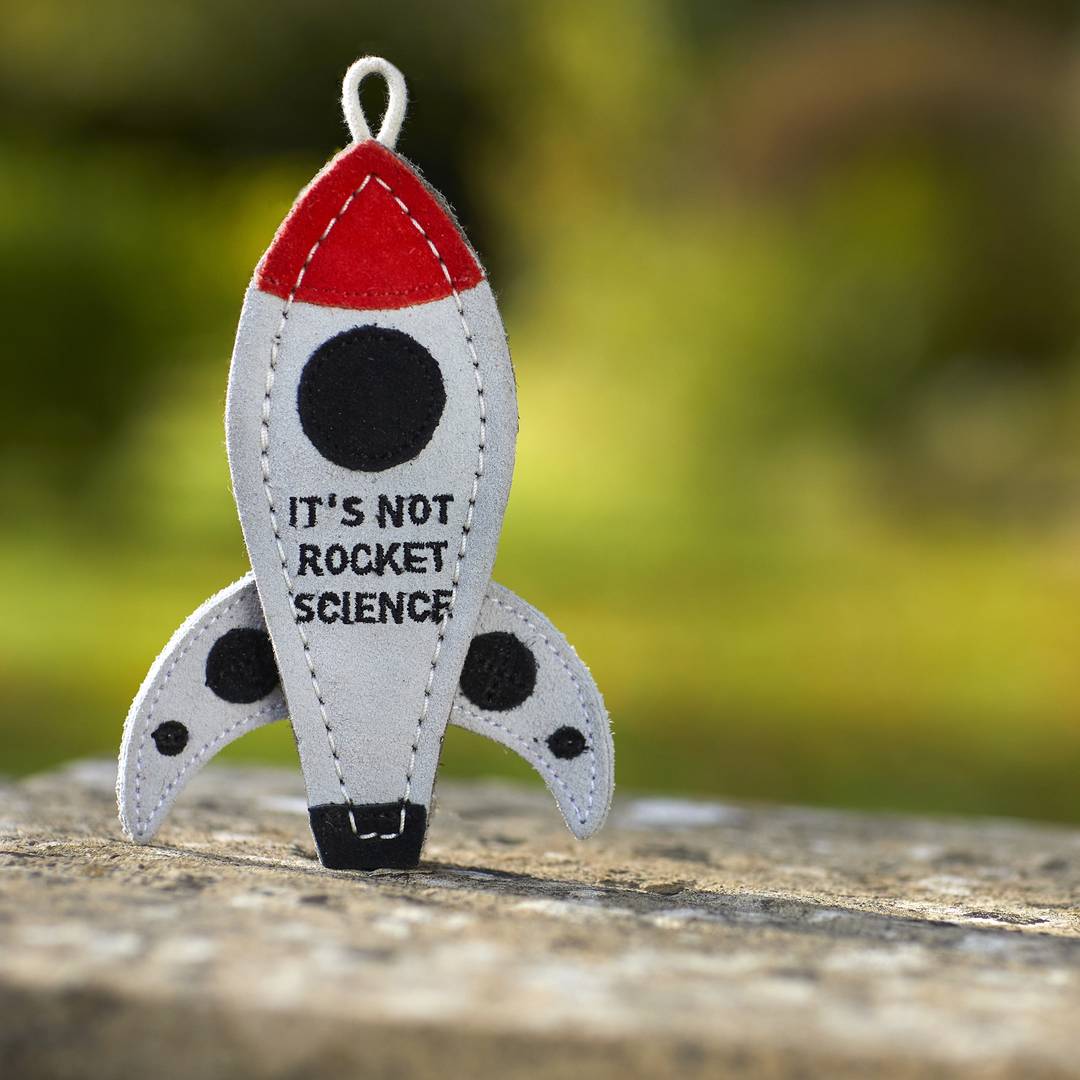 It's Not Rocket Science, Eco Dog Toy - The Mewstone Candle Co