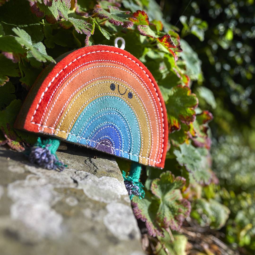 Rainbow Warrior Eco Dog Toy - The Mewstone Candle Co